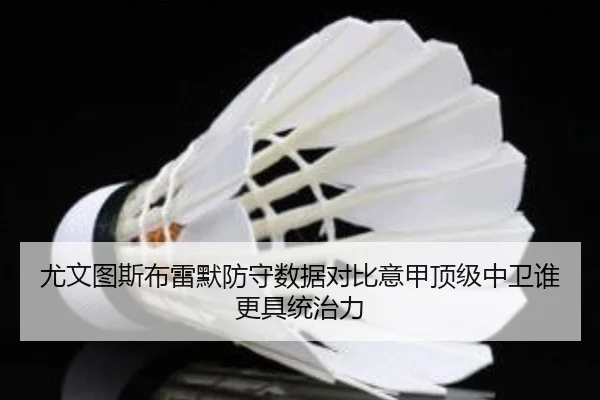 尤文图斯布雷默防守数据对比意甲顶级中卫谁更具统治力